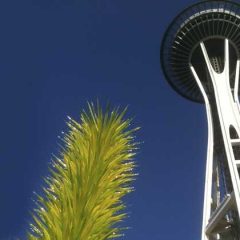 Seattle’s Top 5 Outdoor & Wildlife Experiences