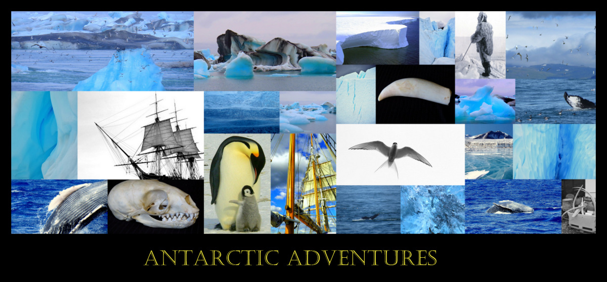 Antarctica