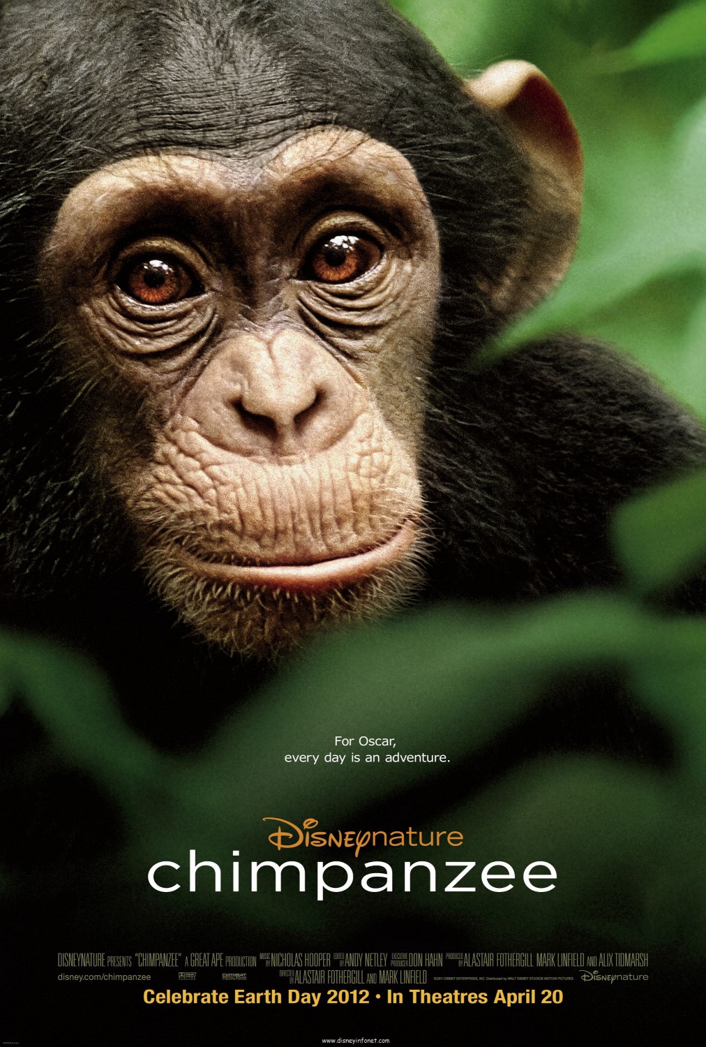 Disney Chimpanzee movie