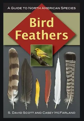 screenshot_2020-04-28-bird-feathers-mcfarland-google-search