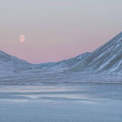 5 Arctic Activities for Adventurers at Heart