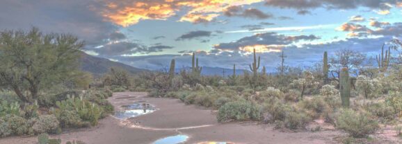 Outdoor Luxury for Families and Friends in Arizona