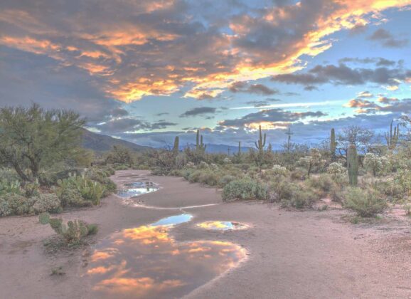 Outdoor Luxury for Families and Friends in Arizona