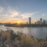 Brisbane’s Top Outdoor and Wildlife Experiences