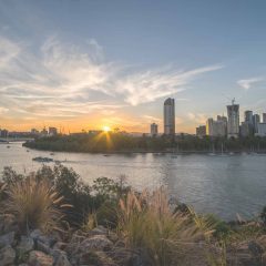 Brisbane’s Top Outdoor and Wildlife Experiences