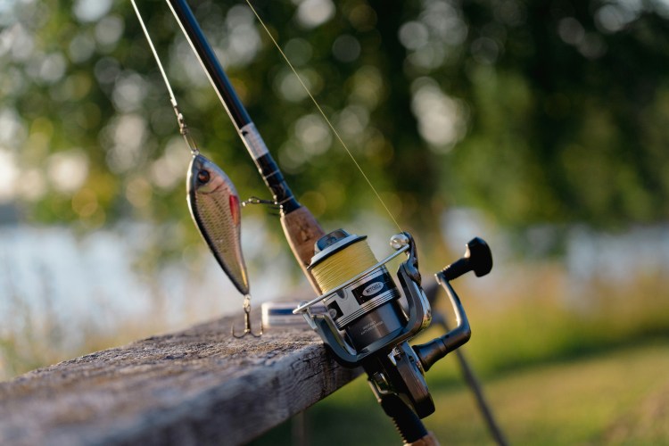 fishing-tarvel-abroad-angler-fish-1