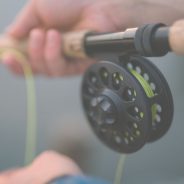 Fly Fishing Beginner’s Guide to Help You Get Started