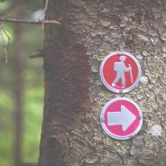 Hiking For Beginners: 7 Essential Tips