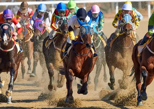 horse-racing-race-5