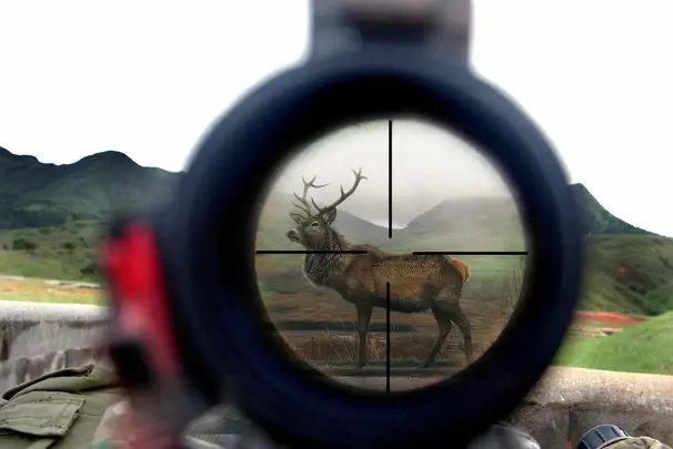 hunting rifle scope