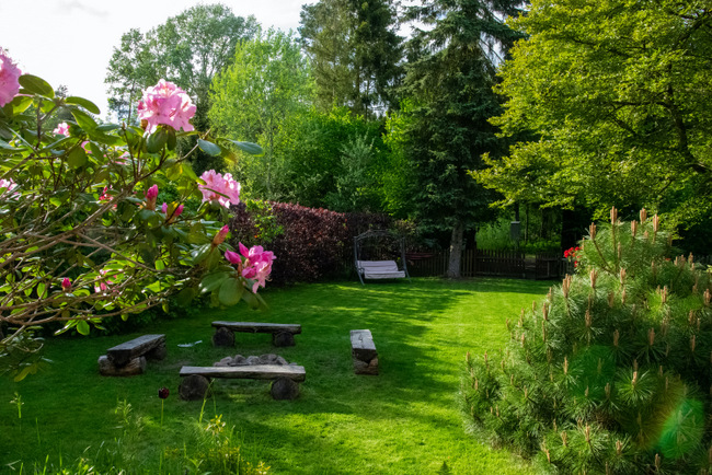 Can Landscape Gardening Influence Interior Design? - Waking Up Wild ...