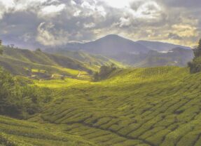 Experience the Best of Nature and Excitement in Malaysia