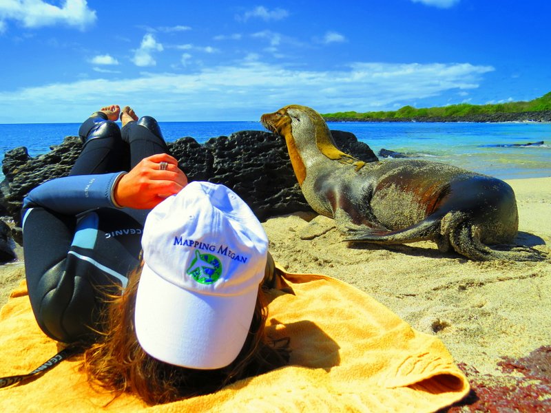megan seal