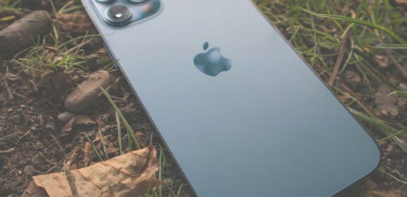 How Digital Entertainment Is Reviving Our Love of the Wild