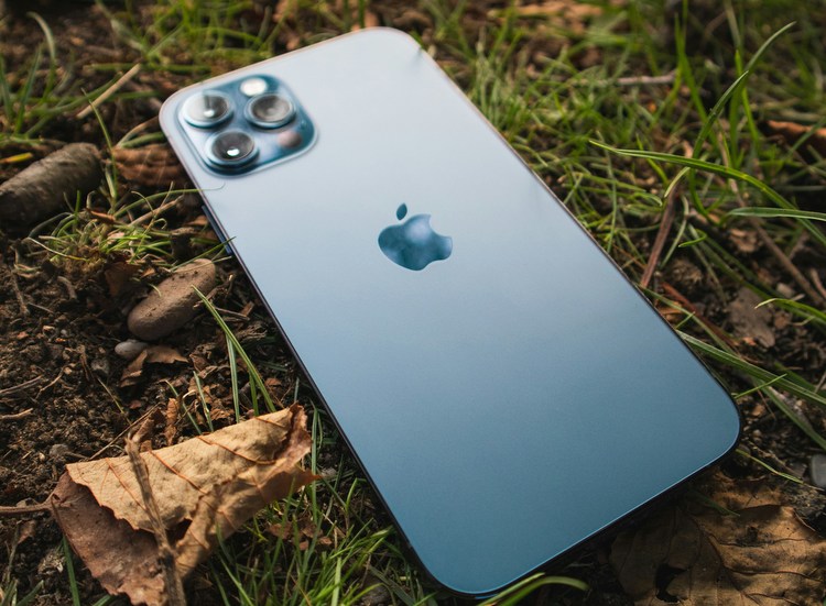 nature-tech-technology-wild-wildlife-apps-websites-computer-2