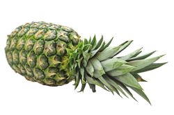 pineapple-1947983_1920