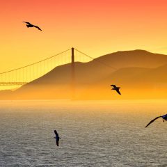 4 Essential Island Stops in the San Francisco Bay