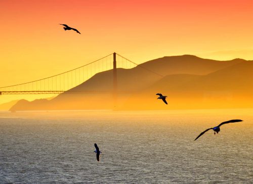 4 Essential Island Stops in the San Francisco Bay