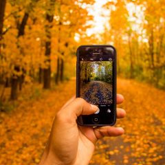 3 Accessories to Make your Phone Wilderness Ready