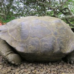 Travel Bloggers Gone Wild!