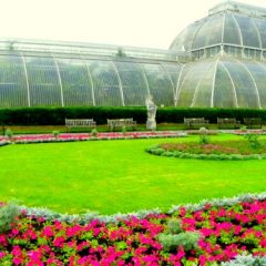 The Gardens of Europe