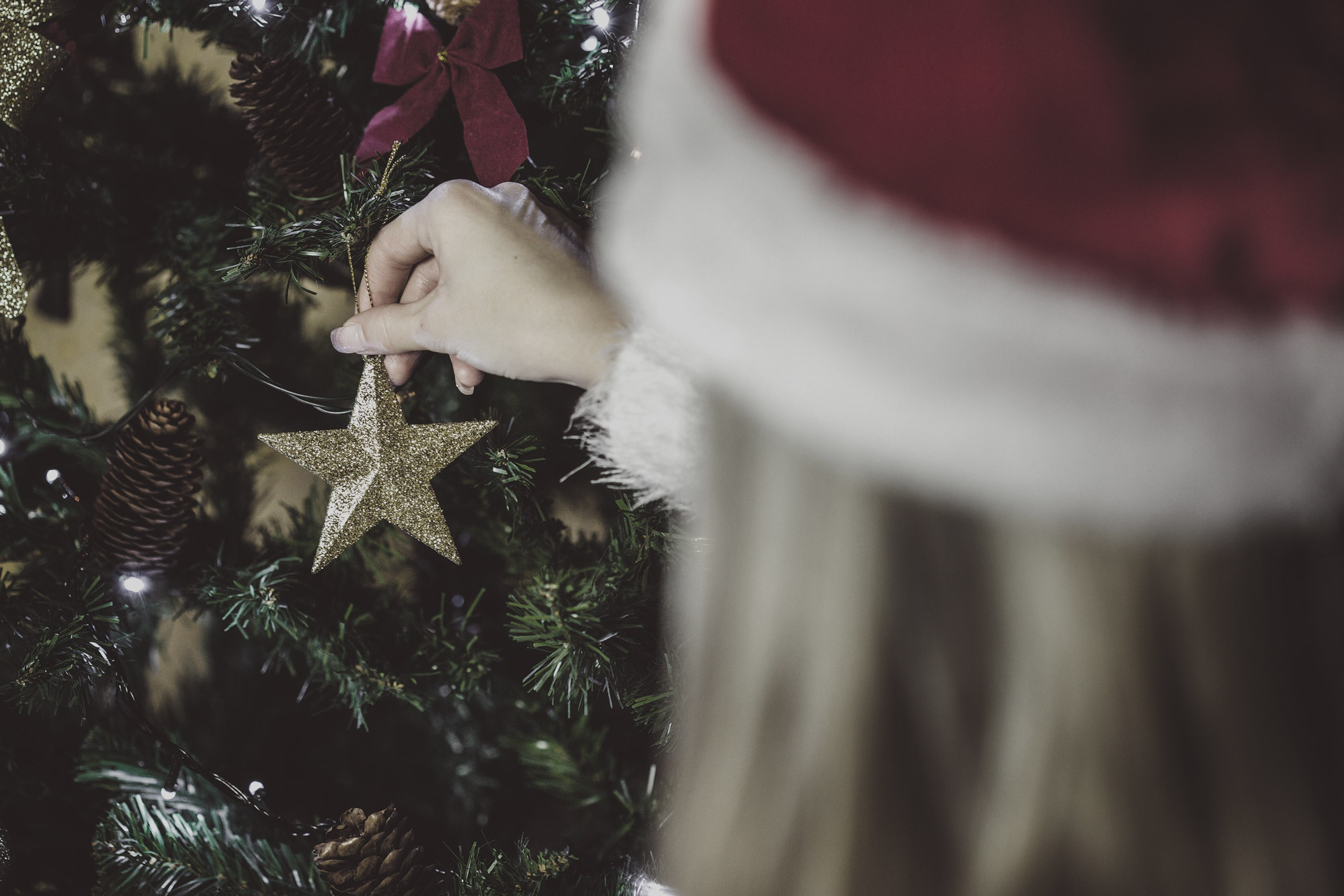 picjumbo.com-young-woman-decorating-a-christmas-tree-slide4