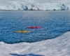 Searching for the Unknown: Kayaking & Camping in Antarctica