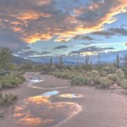 Outdoor Luxury for Families and Friends in Arizona