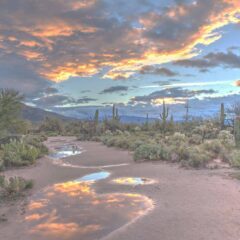 Outdoor Luxury for Families and Friends in Arizona