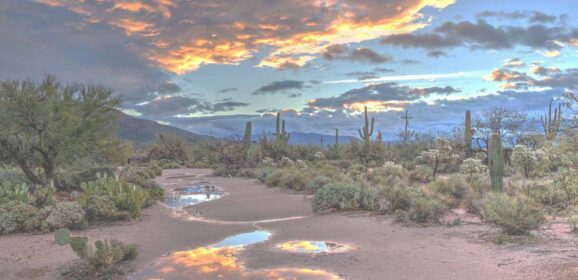 Outdoor Luxury for Families and Friends in Arizona