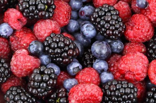 Eating Organic: Healthier Way to Live or Clever Marketing Gimmick Eating Organic: Healthier Way to Live or Clever Marketing Gimmick
