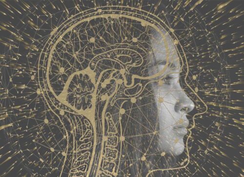 Several Ways to Quickly and Effectively Pump Your Brain