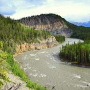 Denali Park Village