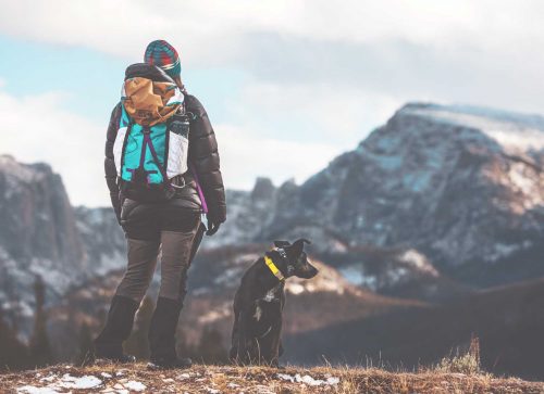 Safety Tips for Hiking with Your Dog