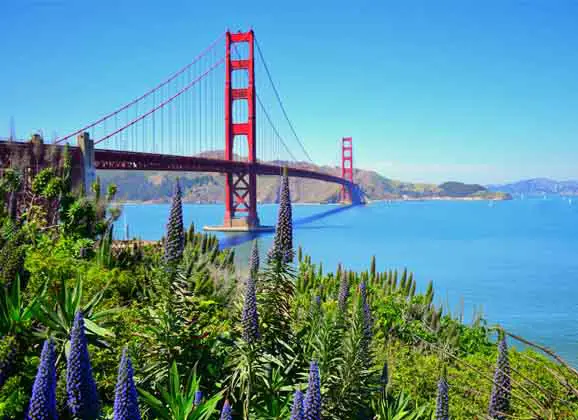 San Francisco's Top 5 Outdoor & Wildlife Experiences - Waking Up Wild