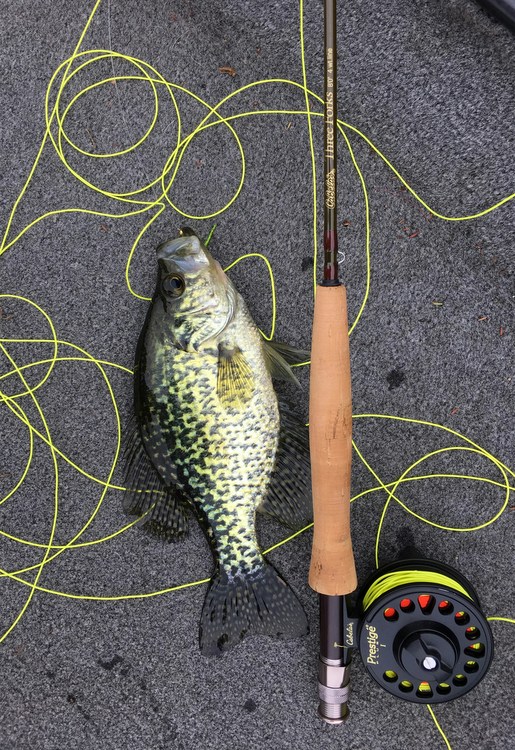 fishing-tarvel-abroad-angler-fish-3