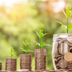 Enjoy a Healthy Life by Achieving Financial Freedom