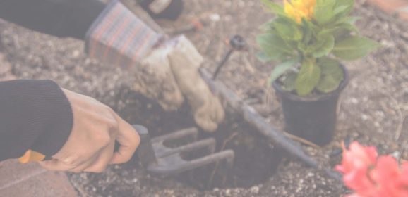 Essential Tools Every DIY Gardener Should Have