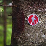 Five of the Most Common Hiking Injuries and How to Prevent Them