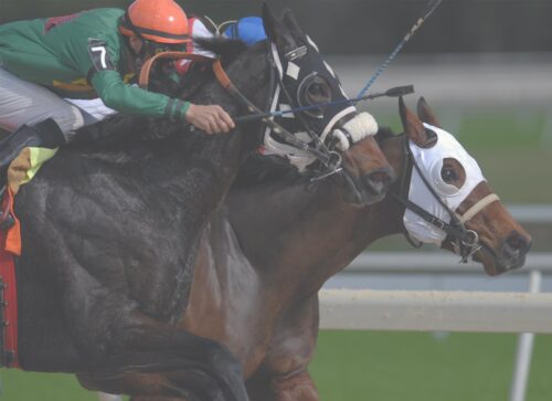 Best Destinations for Horse Racing Fans to Visit in 2023 Best Destinations for Horse Racing Fans to Visit in 2023