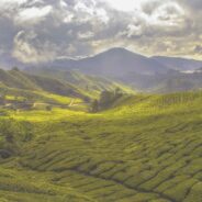 Experience the Best of Nature and Excitement in Malaysia