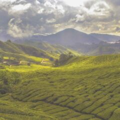 Experience the Best of Nature and Excitement in Malaysia