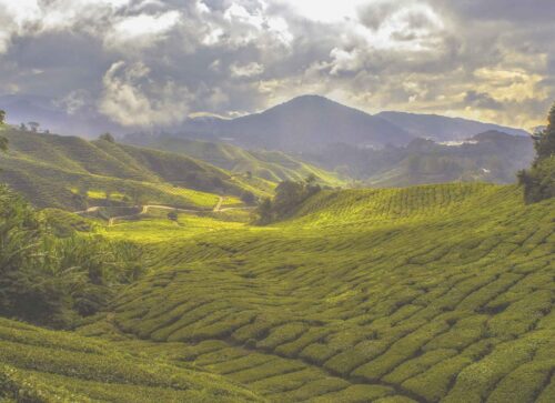 Experience the Best of Nature and Excitement in Malaysia Experience the Best of Nature and Excitement in Malaysia