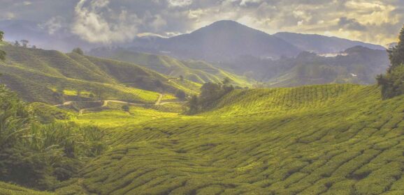 Experience the Best of Nature and Excitement in Malaysia