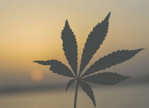 4 Proven Ways You Can Overcome Weed Addiction Right Now