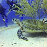Outdoor Adventures Await Mexico Travelers