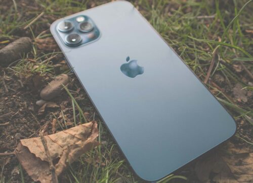 How Digital Entertainment Is Reviving Our Love of the Wild