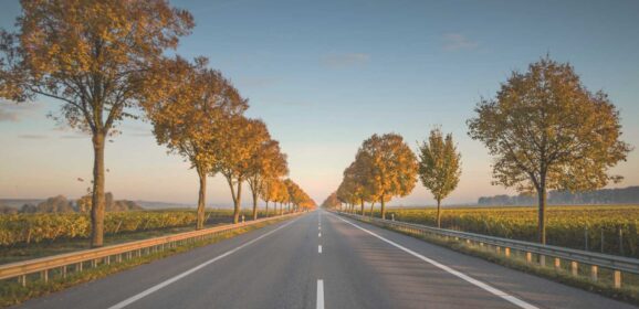 Are Flight Cancellations Ruining Your Travel Plans? Top Road Trips for Outdoor Adventurers