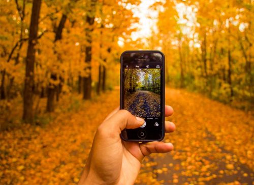 3 Accessories to Make your Phone Wilderness Ready