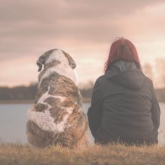How to Travel With Your Emotional Support Animal